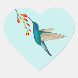 Sticker Coeur Coeur Coeur Colibri