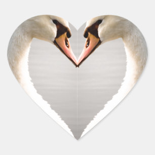 Sticker Cœur Coeur de cygne blanc