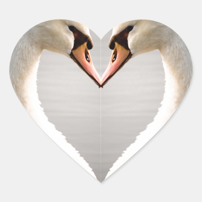 Sticker Cœur Coeur de cygne blanc (Devant)