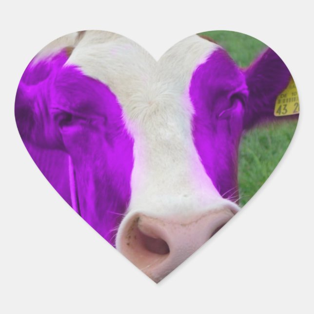 Sticker Cœur coeur de vache violette (Devant)