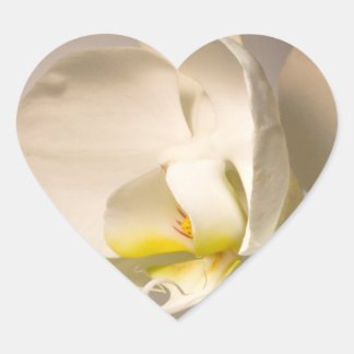 Sticker Cœur Coeurs mariages Enveloppe blanche orchidée Sceau É
