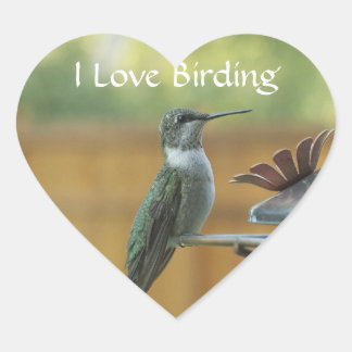 Sticker Cœur Colibri Ruby Throsé