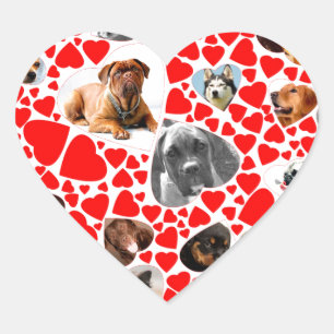 Sticker Cœur Collage photo de Valentine Heart Dog