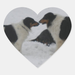 Sticker Cœur Collie Love