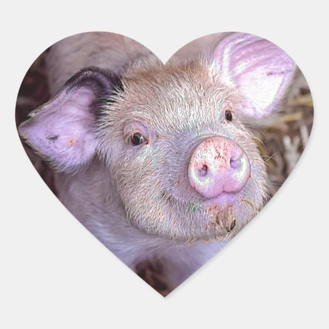 Sticker Cœur Cozmico (Devant)