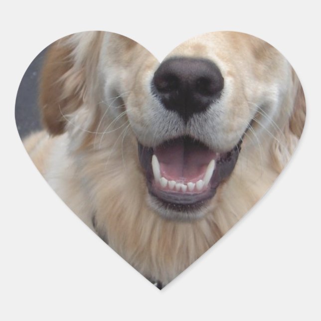 Sticker Cœur Créez vos propres expressions ! Des outils faciles (Devant)