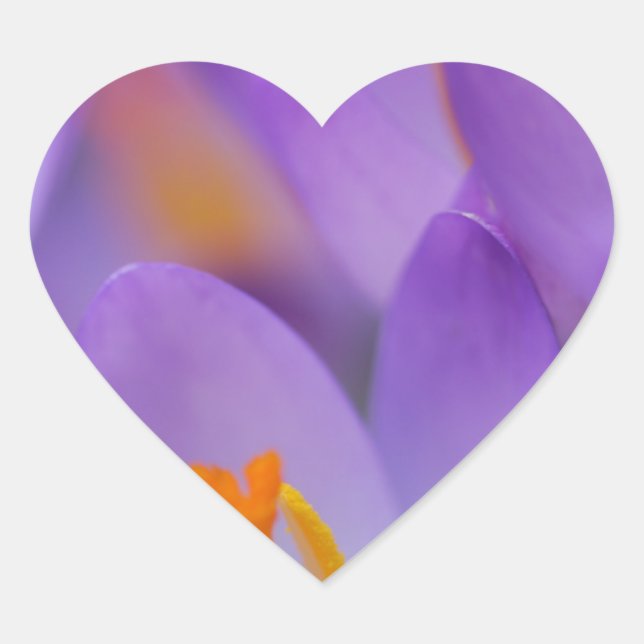 Sticker Cœur Crocus fines fleurs douces (Devant)