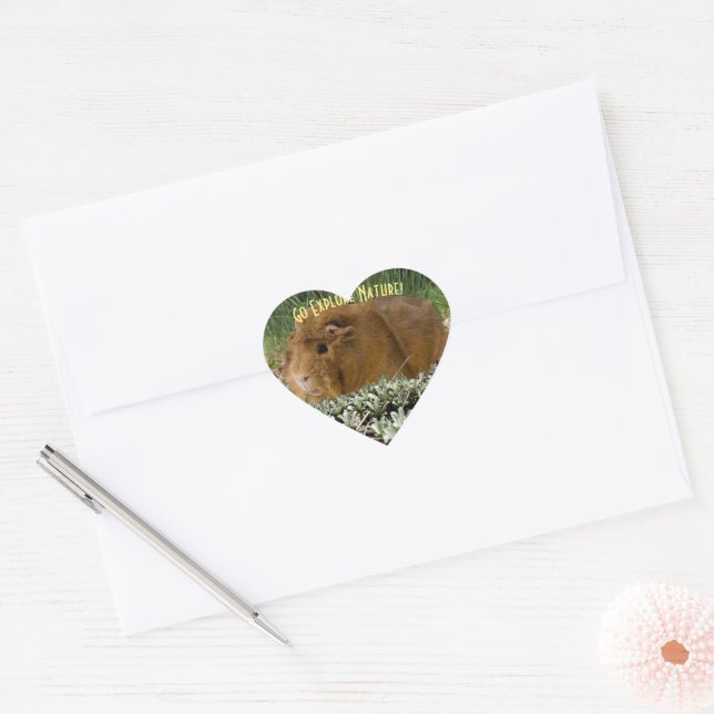 Sticker Cœur Cute Ginger Guinée Exploration Nature Photo Custom (Enveloppe)