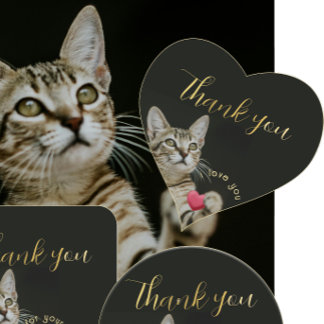 Sticker Cœur Cute Kitten Je t'aime avec coeur