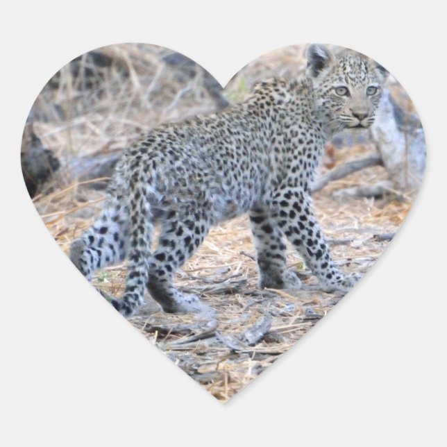 Sticker Cœur Cute Leopard Sur Le Sondage (Devant)