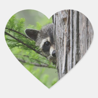 Sticker Cœur Cute Raccoon