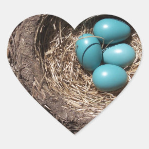 Sticker Cœur Cute Rustic Bird's Nest Blue Robin Eggs