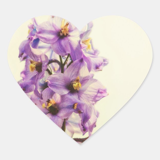 Sticker Cœur Delphinium de Larkspur violet (Devant)