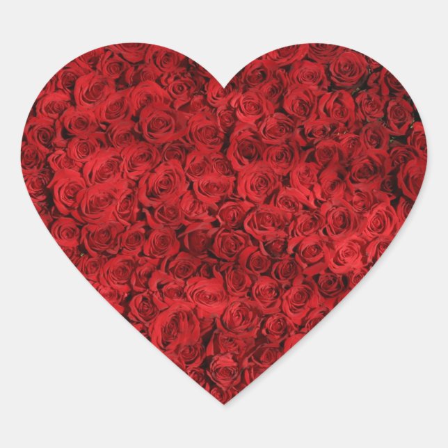 Sticker Cœur Des centaines de belles roses rouges (Devant)