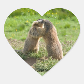 Sticker Cœur deux jeunes marmottes