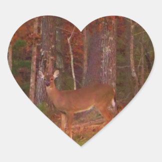 Sticker Cœur Doe a Deer in Lake Arrowhead