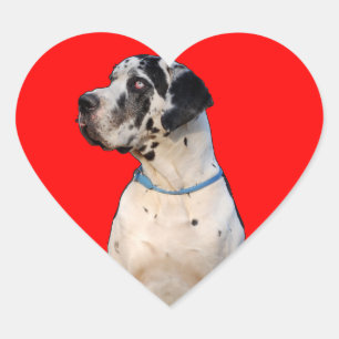 Sticker Cœur Dogue tacheté
