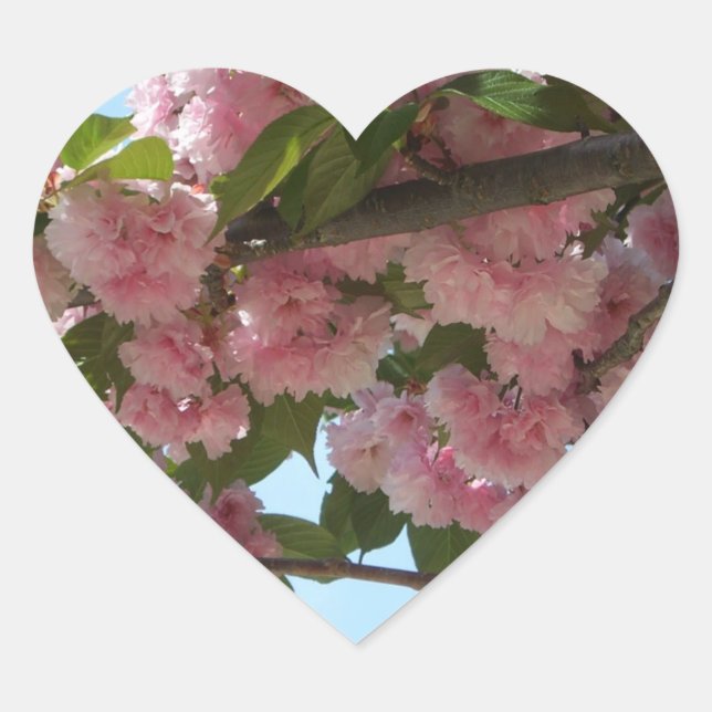 Sticker Cœur Double Blossoming Cherry (Devant)