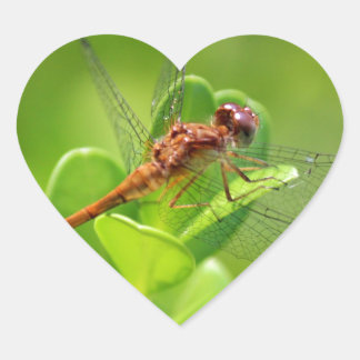 Sticker Cœur Dragonfly atterrit sur Green Garden Plante