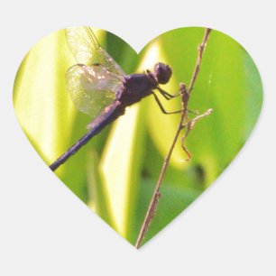 Sticker Cœur Dragonfly Blue et noir sur l'herbe.