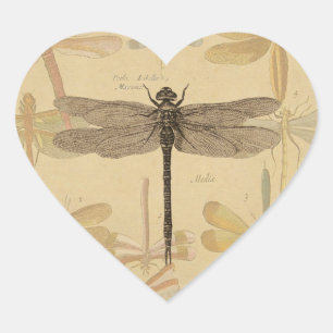 Sticker Cœur Dragonfly Vintage Antique Classic Nature