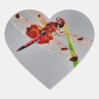 STICKER CŒUR DSC00029.JPG