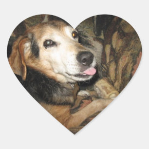 Sticker Cœur Éclairé