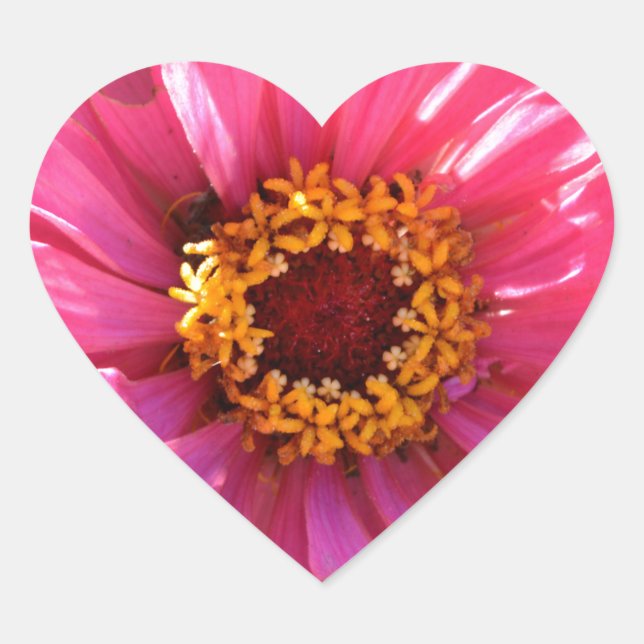 Sticker Cœur Élégant classique floral rose fleur marguerite (Devant)