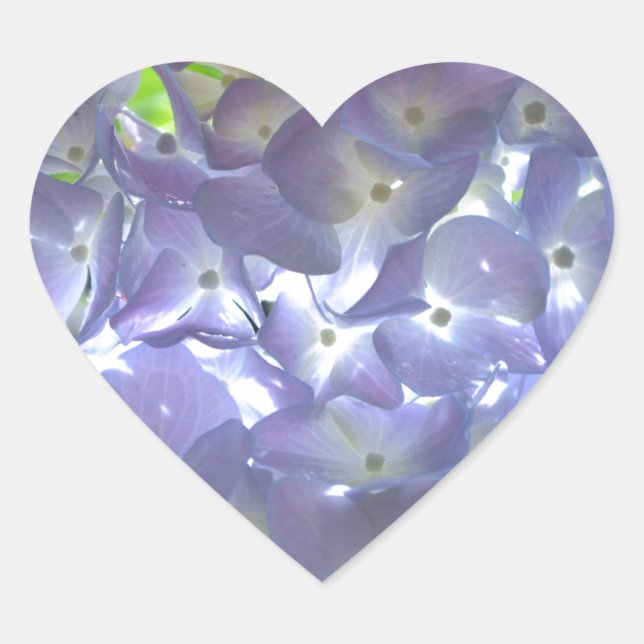 Sticker Cœur Élégante Lavande fleurie violet clair Hydrangeas (Devant)