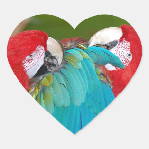 Sticker Cœur Empreinte de perroquet macaw rouge et bleu