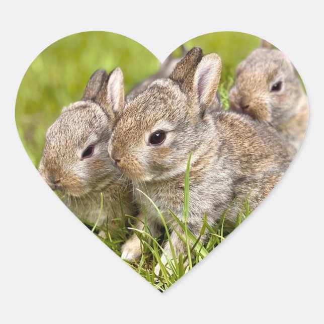Sticker Cœur Famille de lapins (Devant)