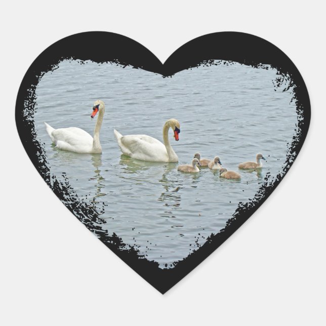 Sticker Cœur Famille Mute Swan (Devant)