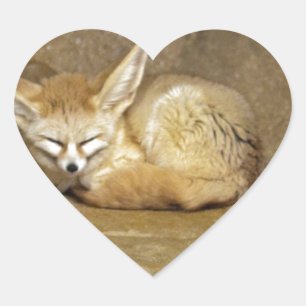 Sticker Cœur fennec fox