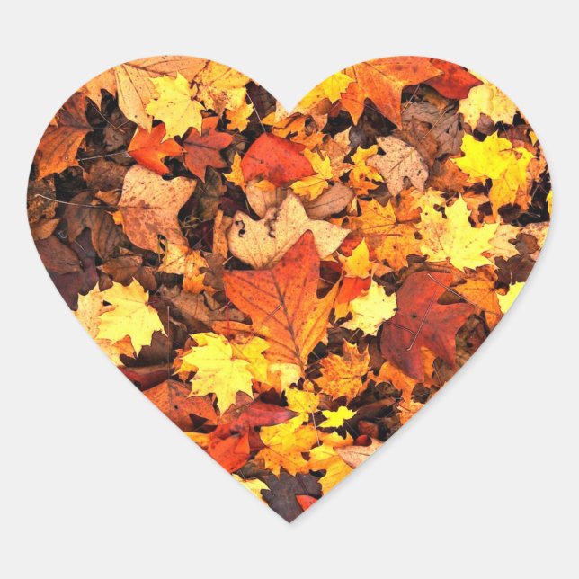 Sticker Cœur Feuillage d'automne, les couleurs de l'automne (Devant)