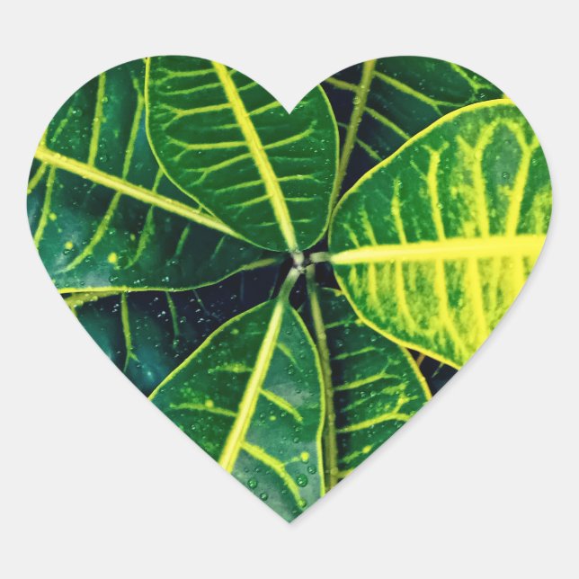 Sticker Cœur Feuilles verts (Devant)