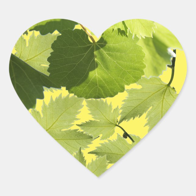 Sticker Cœur Feuilles verts de vigne (Devant)