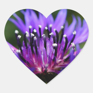 Sticker Cœur Fleur de Bleuet Fleurs de Bleuet Paix Amour Destin