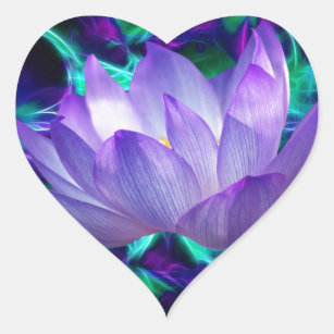 Sticker Cœur Fleur de lotus pourpre et sa signification