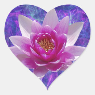 Sticker Cœur Fleur de lotus rose et signification