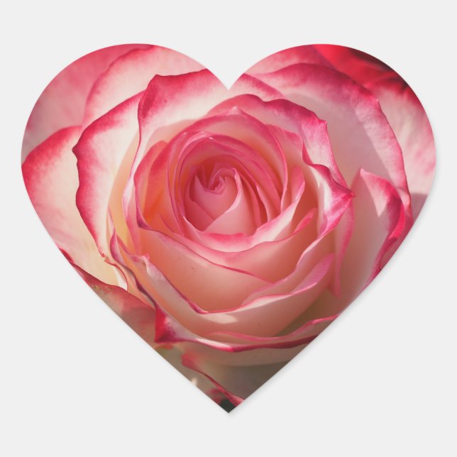 Sticker Cœur Fleur de rose (Devant)