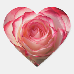 Sticker Cœur Fleur de rose