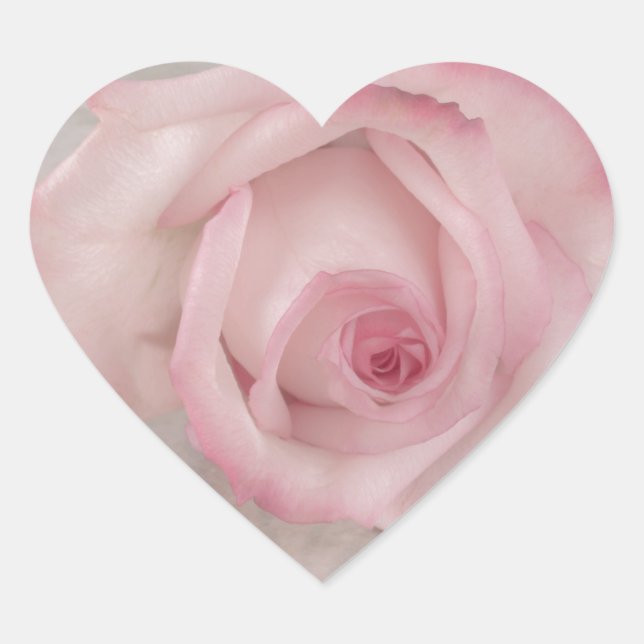 Sticker Cœur Fleur rose douce (Devant)
