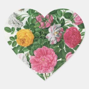 Sticker Cœur Fleurs anciennes en fleurs, roses de jardin de pri