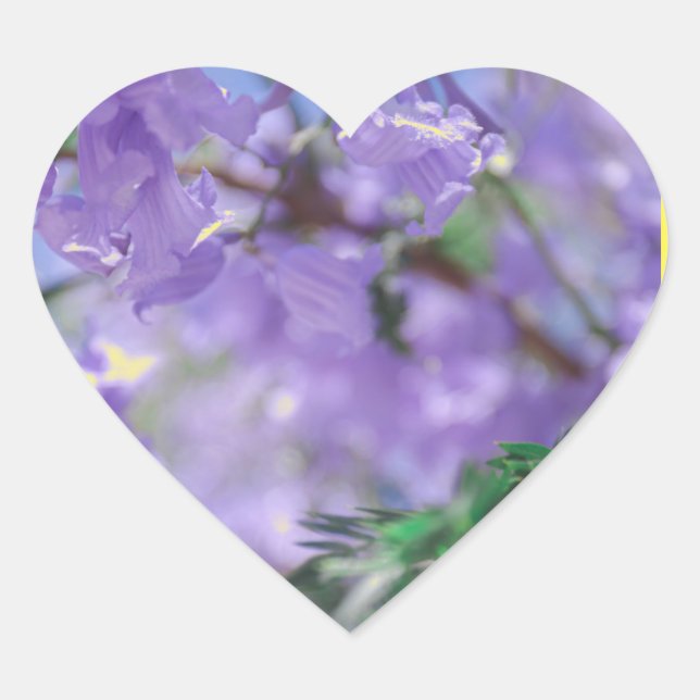 Sticker Cœur Fleurs d'arbre pourpres Jacaranda (Devant)