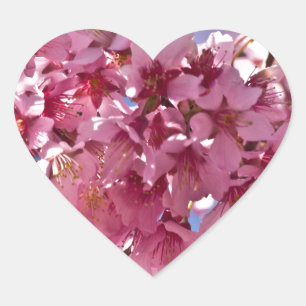 Sticker Cœur Fleurs de cerisier Sakura Étoiles rouges