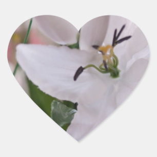 Sticker Cœur fleurs-de-lis blancs-de-mariage-flore-florale-amou