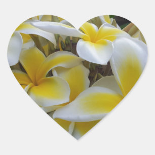 Sticker Cœur Fleurs Hawaii Plumeria