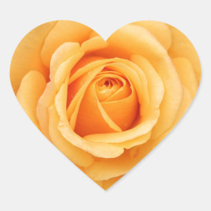 Sticker Cœur fleurs rose fleur amour femme douce couple