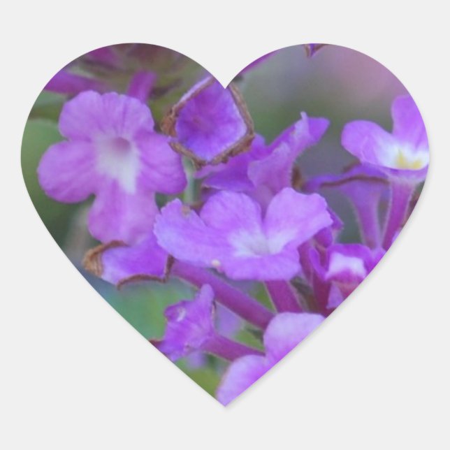 Sticker Cœur Fleurs violettes (Devant)