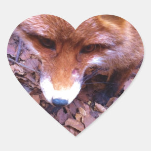 Sticker Cœur Forêt de renards animaux Fête de bureau Pluie d'ar